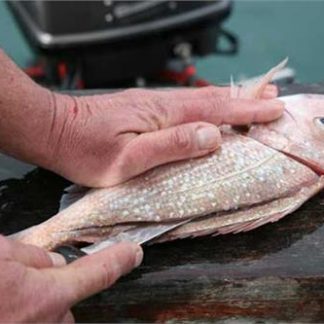 Fish Cleaning & Filleting